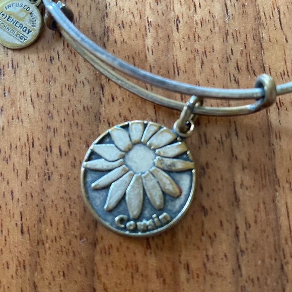 Alex and Ani set of 5 vintage charm bracelets - Picture 7 of 9